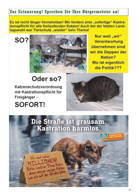 Ausgabe 12