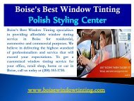 Professional  Automotive Window Tinting  Idaho (2)
