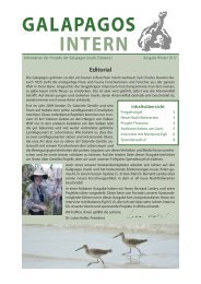 Galapagos Intern Winter 2016/17