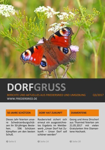 2017-Q3_DORFGRUSS_online