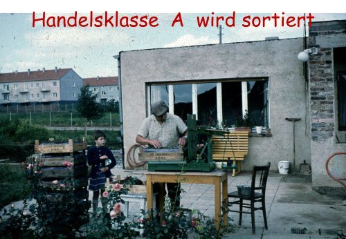 1953 - Landwirtschaftlicher Betrieb beginnt "Früchte" zu tragen