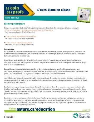 Fiche de l'élève : L'ours blanc en classe