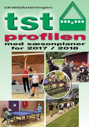 Tst profilen 2017