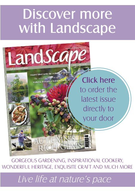 Latest Digital Sampler of LandScape