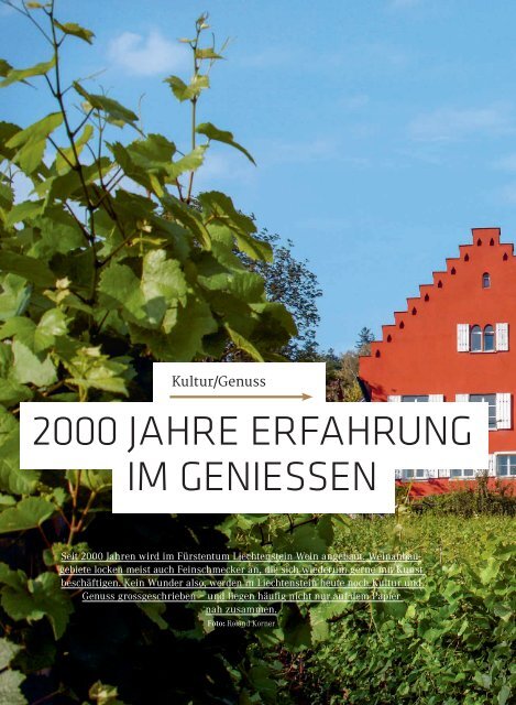 oho #4 - Das Magazin des Fürstentums Liechtenstein