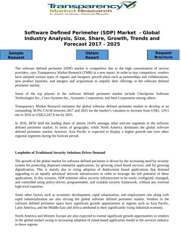 Software Defined Perimeter (SDP) Market  - Global Industry Analysis, Size, Share, Growth, Trends and Forecast 2017 - 2025
