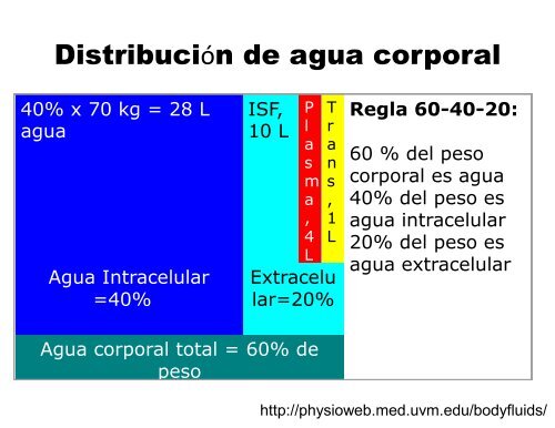 nefrologia modulo renal, liq y electrolitos, hta, diabetes  (1)