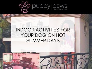 Indoor Activities For your Dog On Hot Summer Days