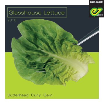 Glasshouse Lettuce 2018