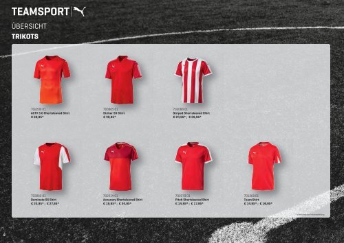 puma-katalog-2017-teamsport