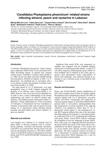 Candidatus Phytoplasma phoenicium - Bulletin of insectology