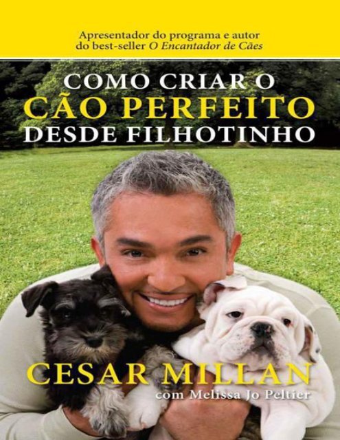 Cão Pastor Inglês Velho Que Está Na Grama Imagem de Stock - Imagem