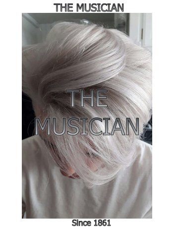 The Musician (Ke Jian Ming)