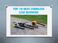 TOP 10 BEST CORDLESS LEAF BLOWERS