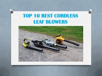 TOP 10 BEST CORDLESS LEAF BLOWERS