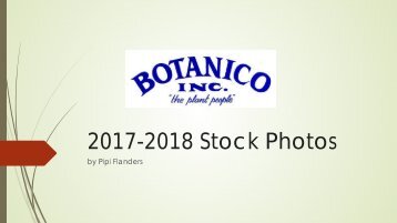 2017-2018 Stock Photos