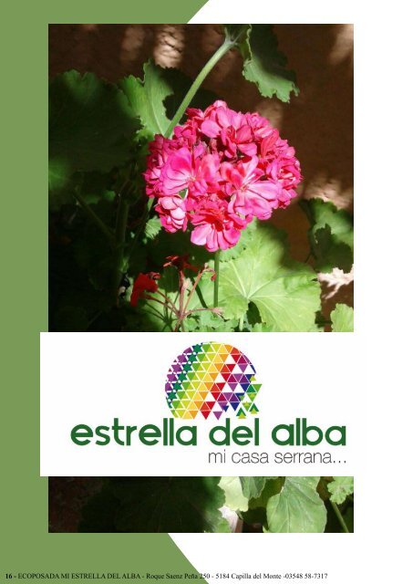 estrellla del alba