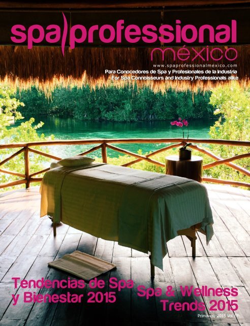 Spa Professional México 17, Primavera 2015