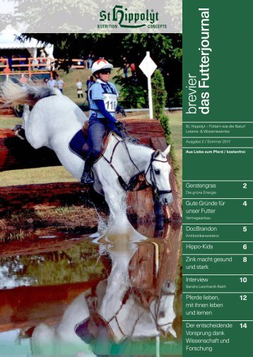 SH Magazin Brevier 2-2017_lowres