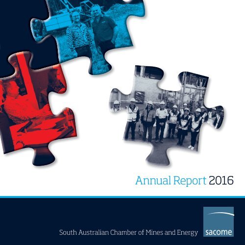SACOME Annual Report 2015-16