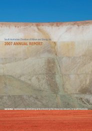 SACOME Annual Report 2006-07