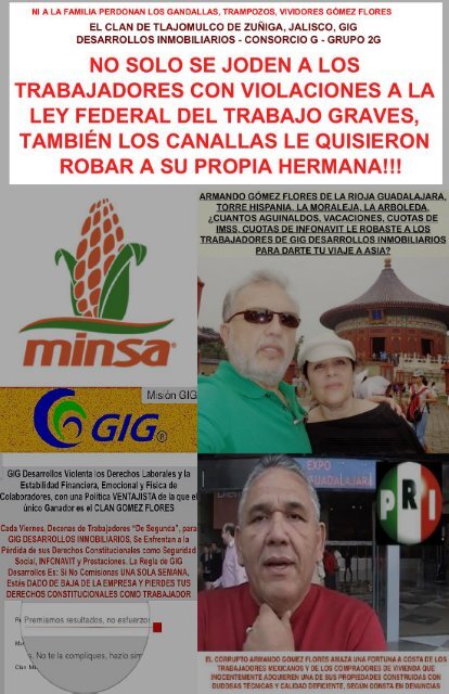 No Respetan Ni a Su Propia Familia - Los Gandallas de GIG DESARROLLOS INMOBILIARIOS - CLAN ARMANDO GOMEZ FLORES- Le Quitan Ilegalmente Control de Empresas a Hermana, Pero Esta Los Demanda Por RATAS!