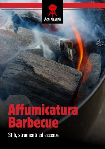 Affumicatura Barbecue