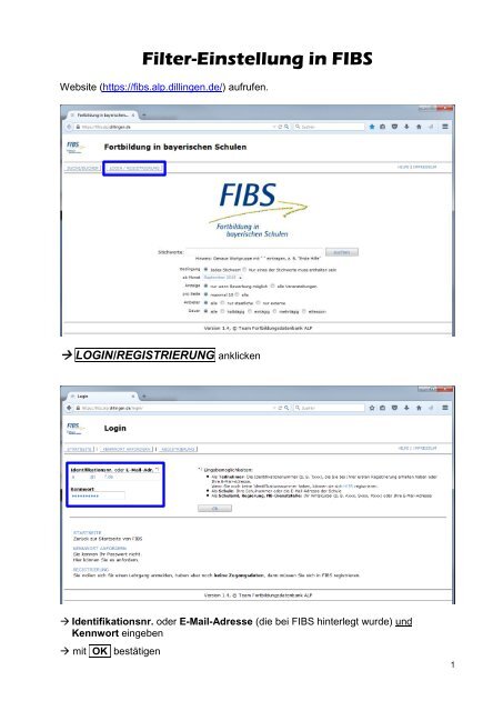 FIBS-Filter