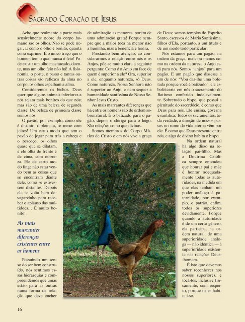 Revista Dr. Plinio 222