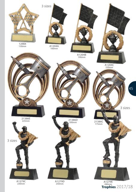 2017 Trophies for Distinction