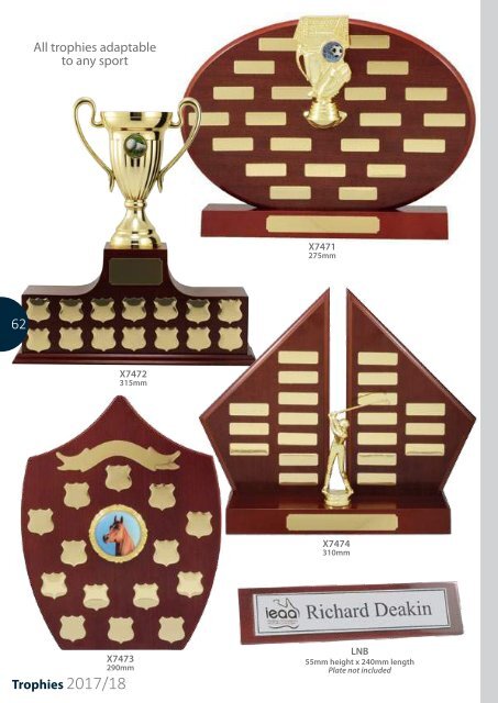 2017 Trophies for Distinction