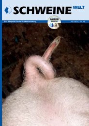 Schweine-Welt-Juli-2017-web