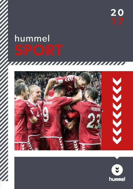 Se internettet filosof Sammensætning Hummel 2017