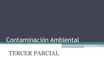 Contaminación Ambiental 