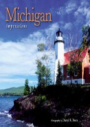 Michigan Impressions (Impressions (Farcountry Press))