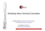 Members of the Technical Committee - Afera