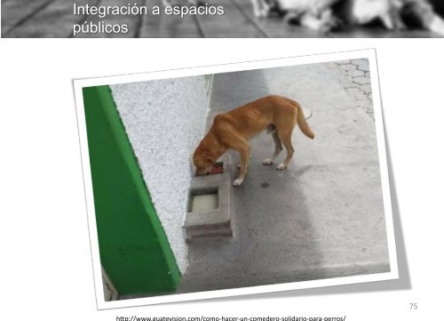 Investigacion