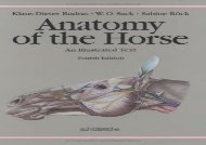 Anatomy of the Horse: An Illustrated Text