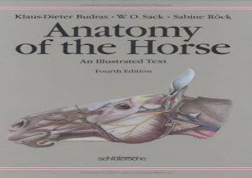 Anatomy of the Horse: An Illustrated Text