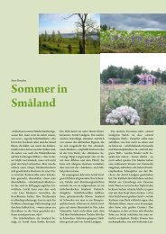 Sommer in Småland
