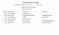 Class Winner Listing