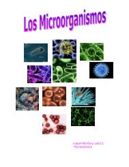 Los microorganismos