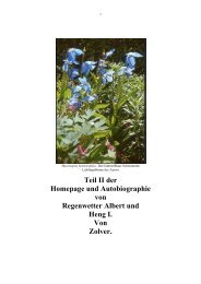 Teil II - Homepage fir HR 2. Version 16.8.2004 - MultiMania