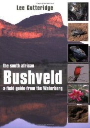 The South African Bushveld: A Field Guide from the Waterberg