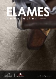 Elames Newsletter - July 2017