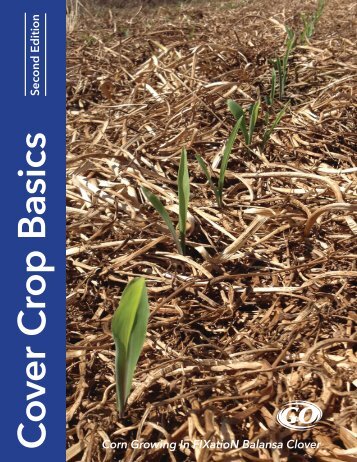 Cover Crop Basics - Getting Started