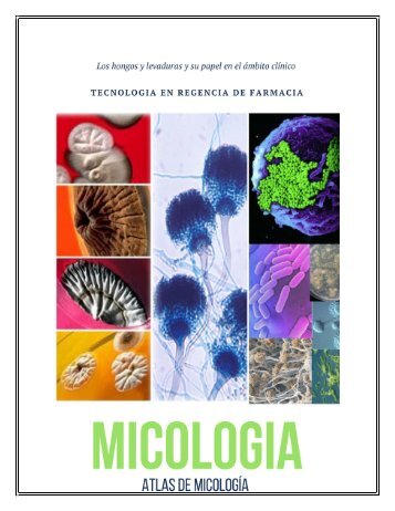 ATLAS MICOLOGIA 1