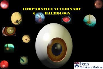 COMPARATIVE VETERINARY OPHTHALMOLOGY - CAL > Home