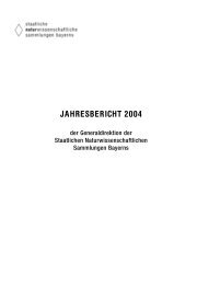 jahresbericht 2004 - Staatliche Naturwissenschaftliche Sammlungen ...