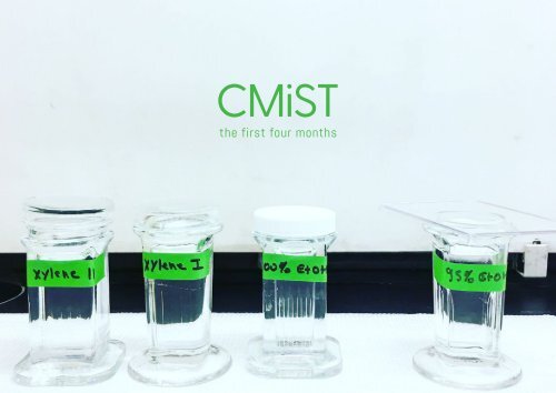 CMiST the first four months 2017